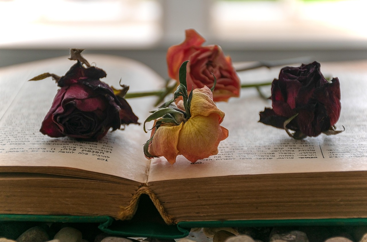 Reading Your Way Out of a Rut: Books That Shift Perspective