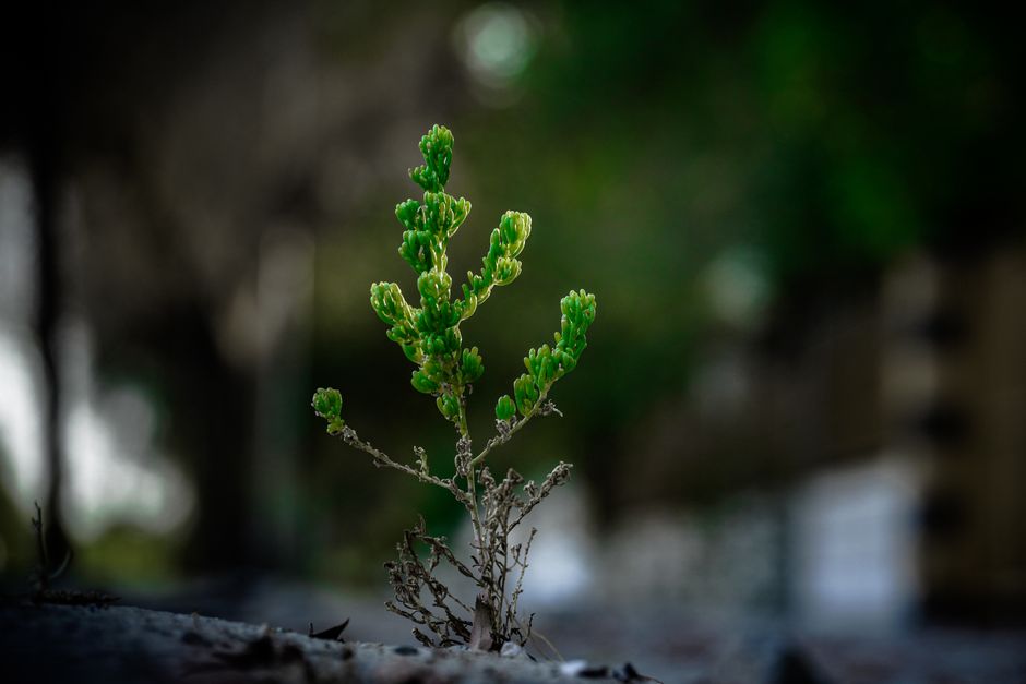 The Quiet Power of Tiny Habits: Why Small Changes Stick